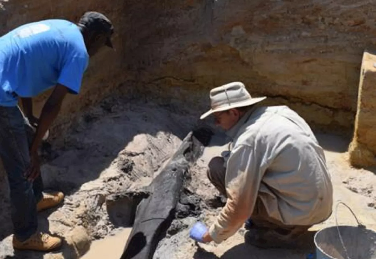 Scientists Find Structure From Before Homo Sapiens Existed