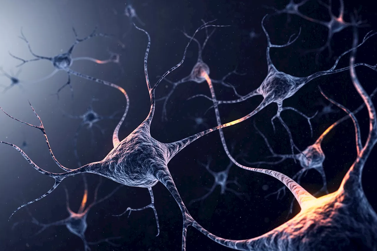 Scientists Say New Material Can Reconnect Severed Nerves