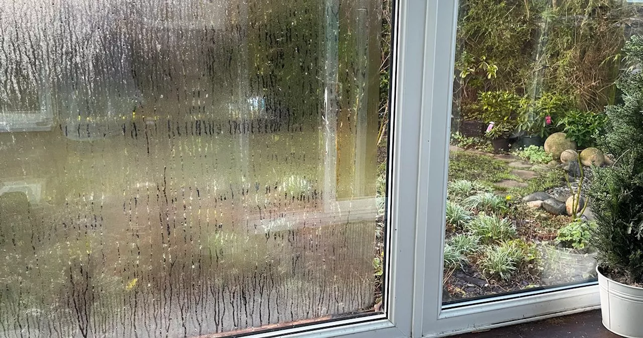 Banish condensation on windows with ‘wonder’ hack involving common kitchen item