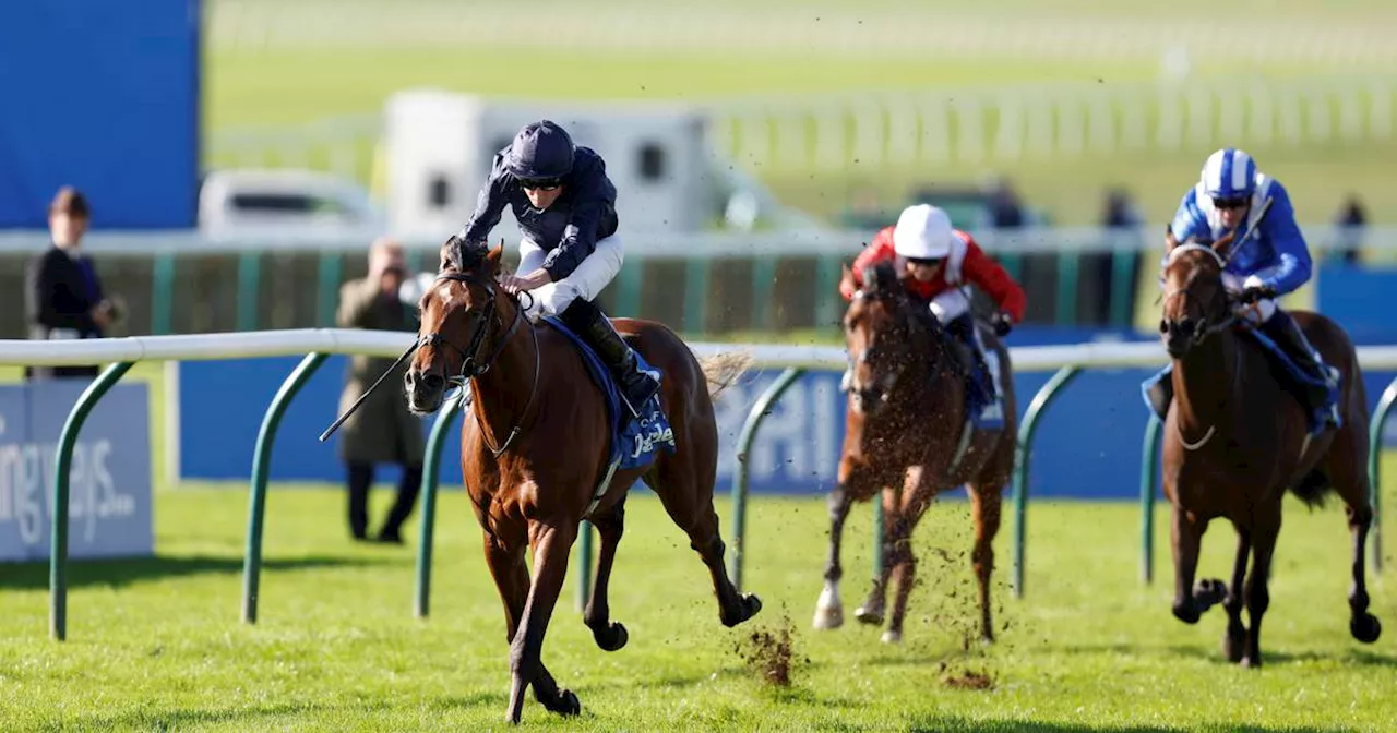 Aidan O’Brien’s City Of Troy seals star status with Dewhurst success