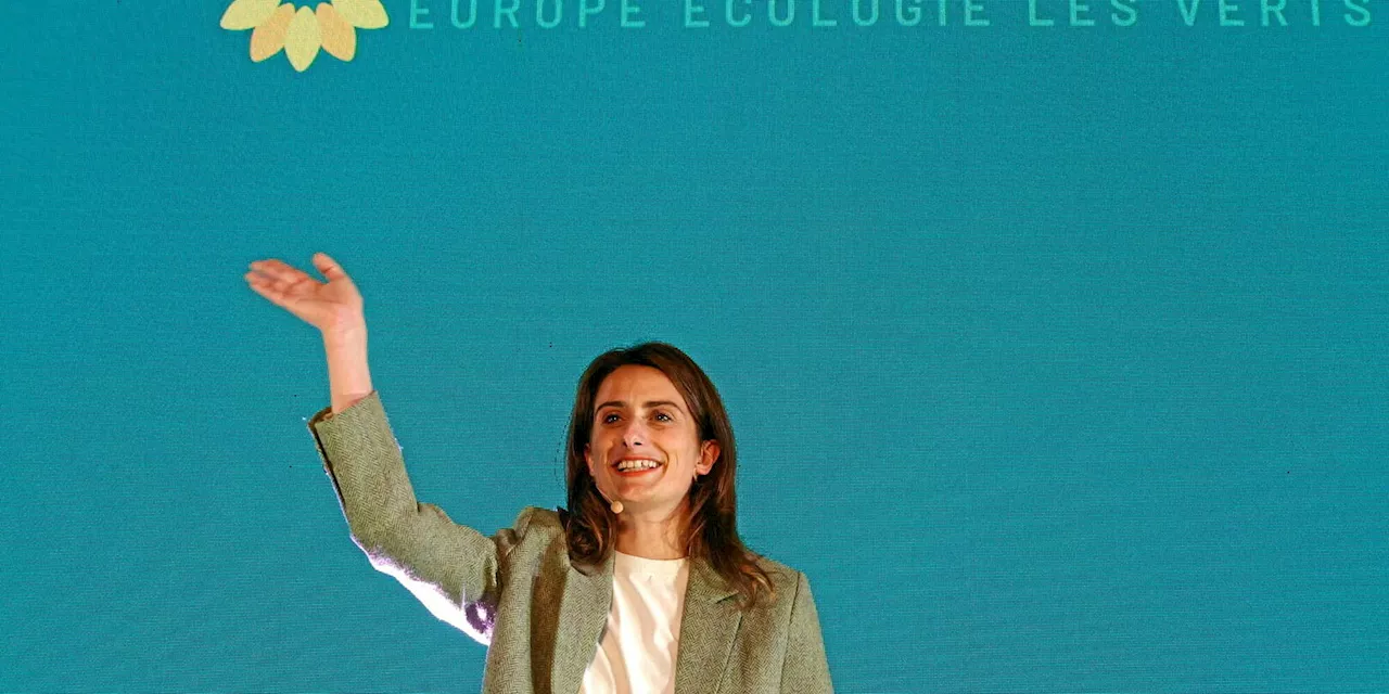 EELV : le parti lance son nouveau mouvement, Les Écologistes