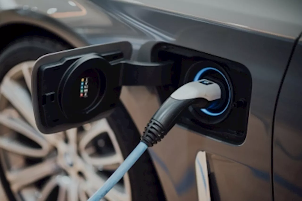 Industry players say Budget 2024 paints promising future for EV industry