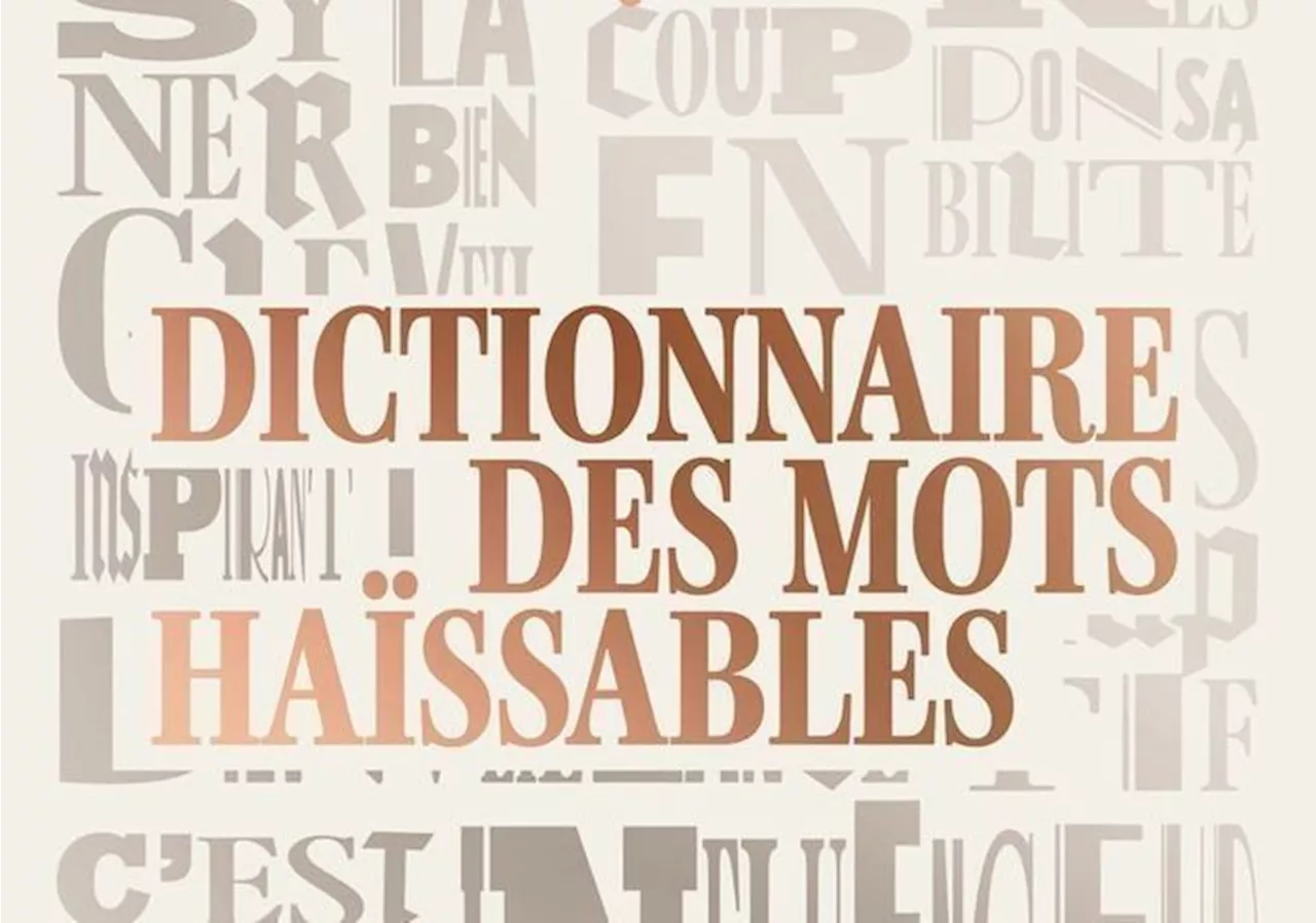 'Dictionnaire des mots haïssables' de Samuel Piquet, ou comment rire des termes de notre époque