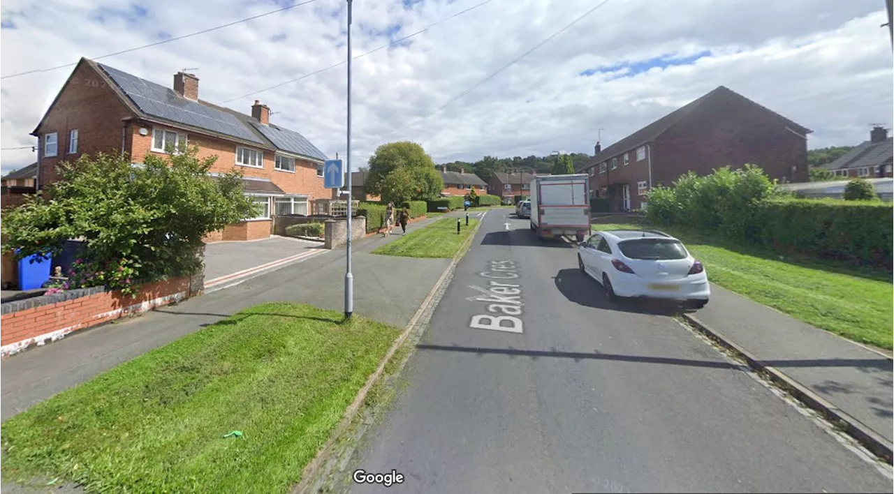 Baddeley Green: Two women rushed to hospital after 'XL bully attack'