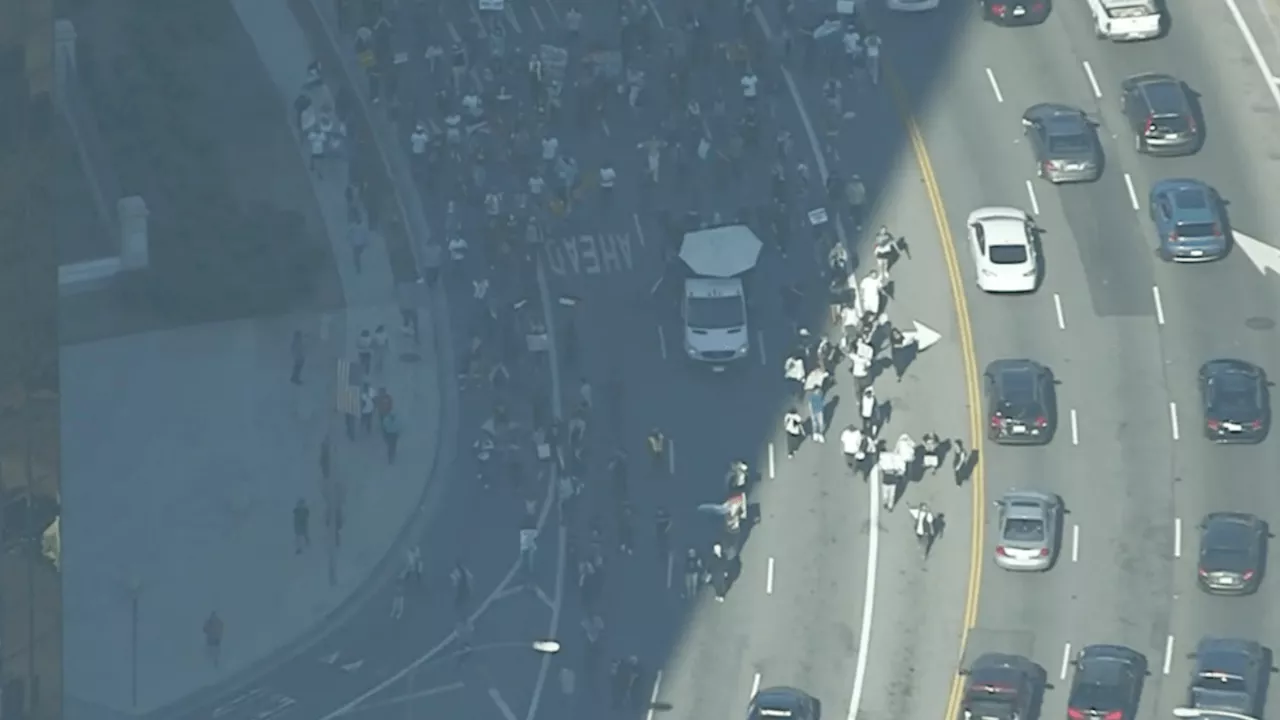 Crowd gathers for rally in support of Palestine in Westwood area