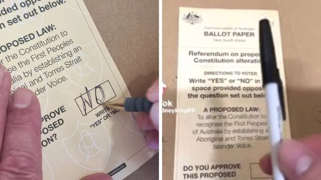 ‘Clowns’: No voters’ wild act at polling booths