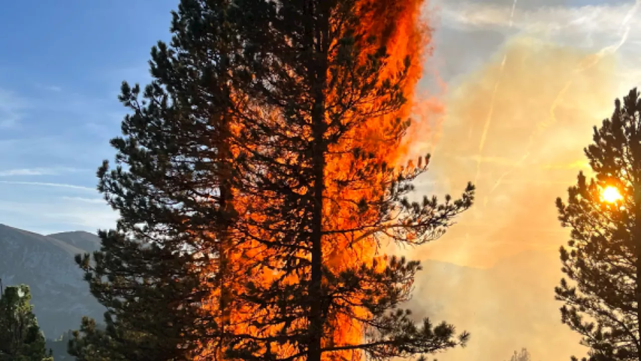 Waldbrand im obersteirischen Ennstal