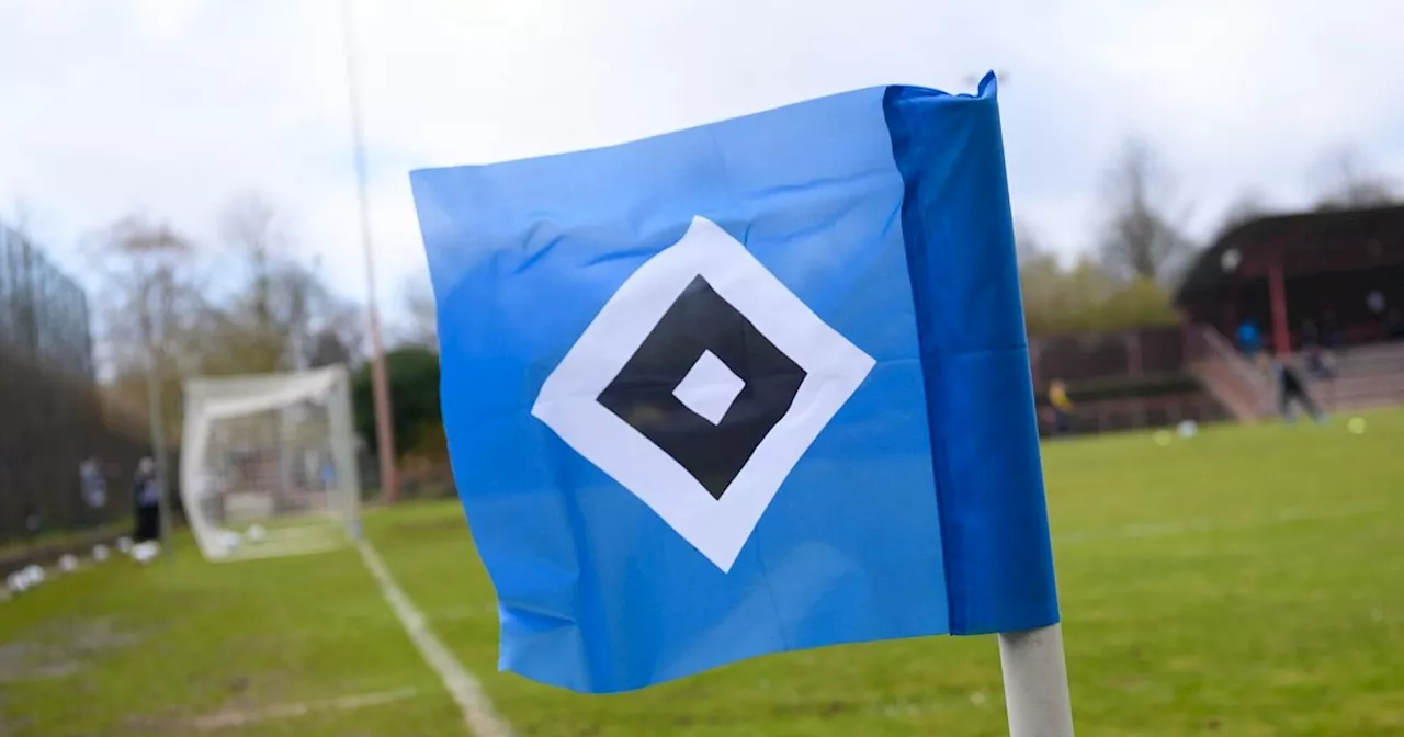 Rassismus-Vorwurf: HSV-Junioren verlassen Platz