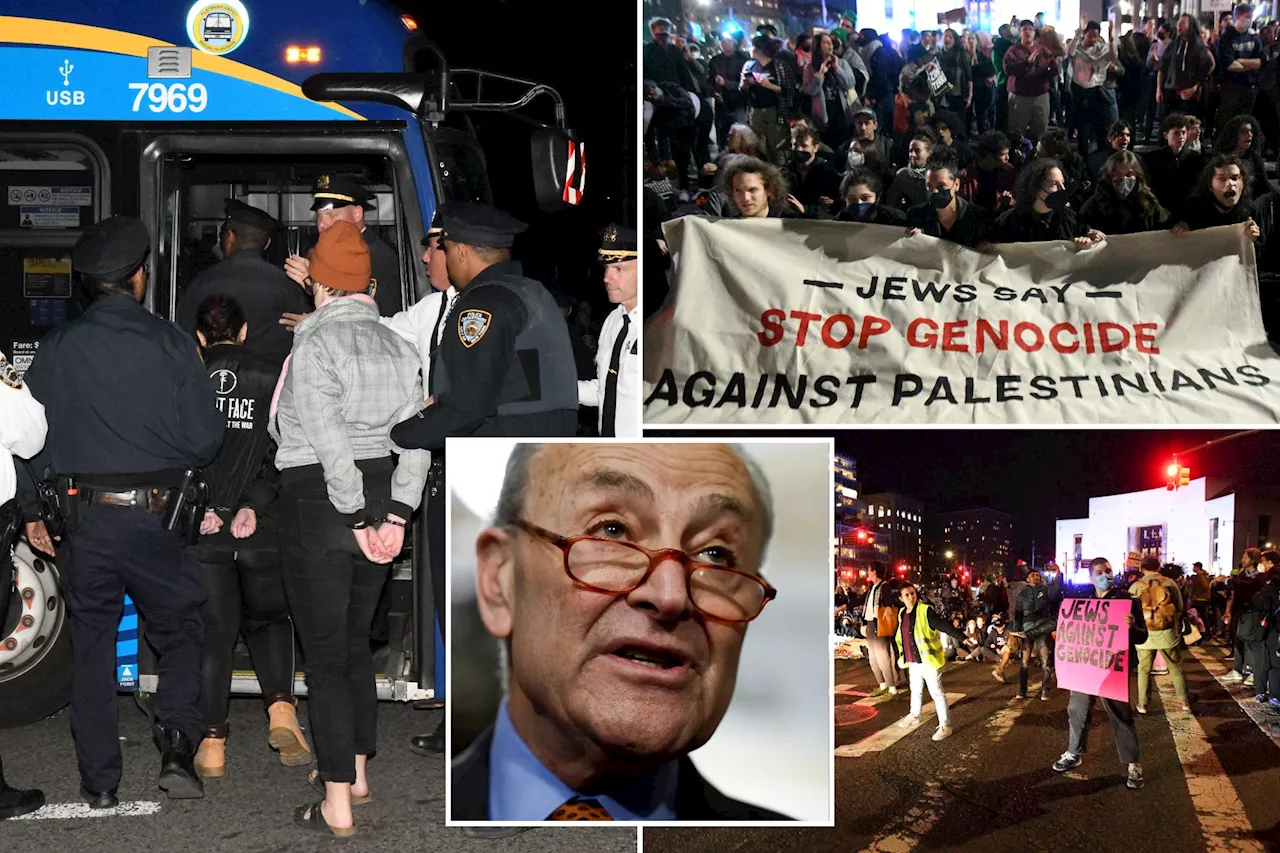 Dozens of protesters demanding US end Israel aid arrested outside Schumer’s NYC home