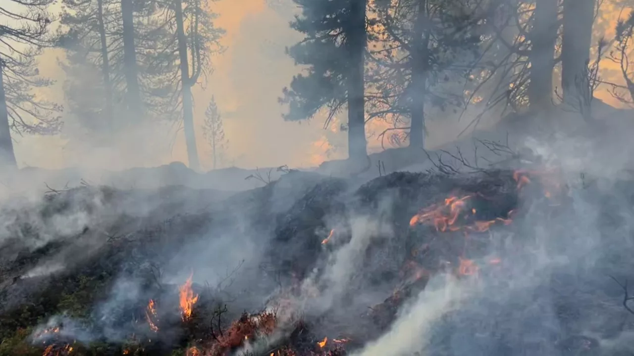 Einsatzkräfte bei Waldbrand im Ennstal