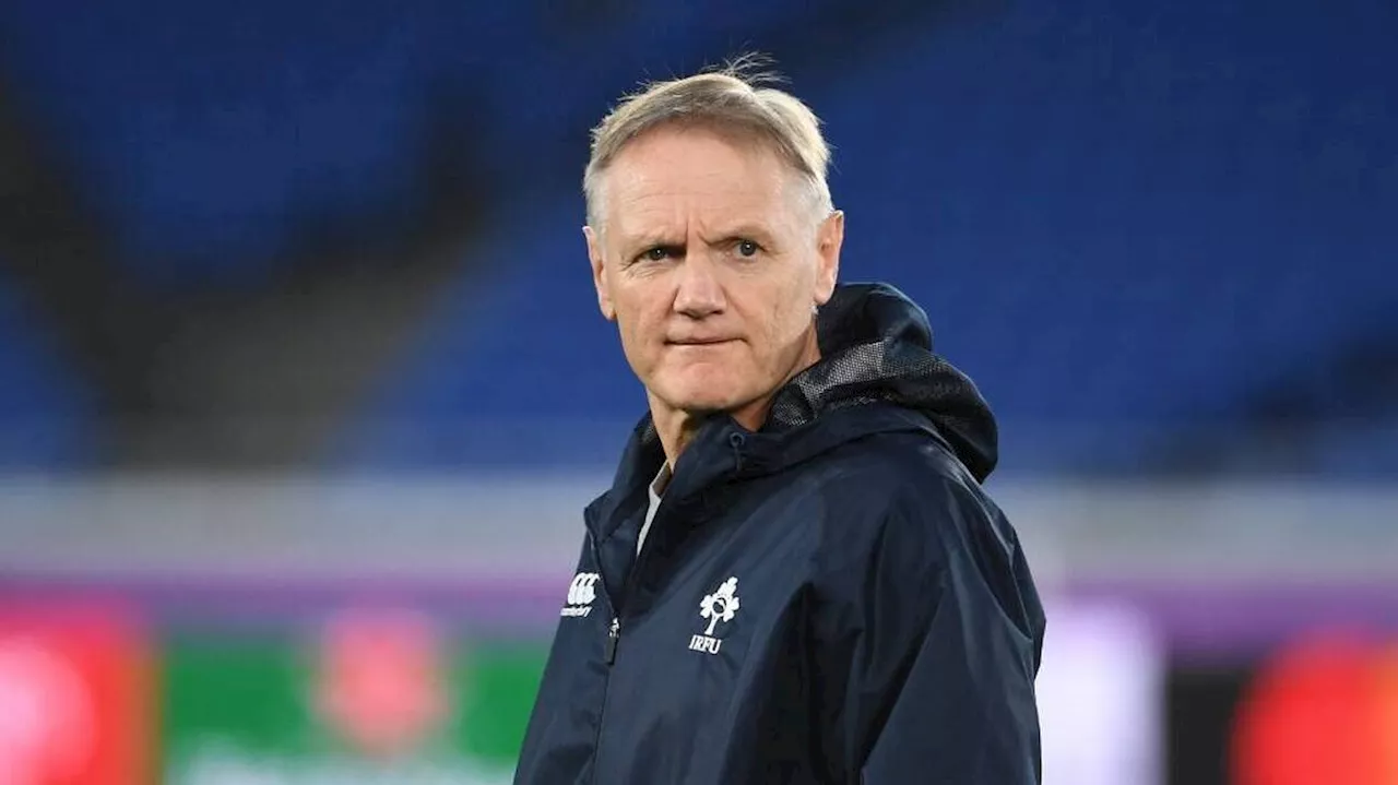 – Nouvelle-Zélande : Joe Schmidt, le mal-aimé de l’Irlande