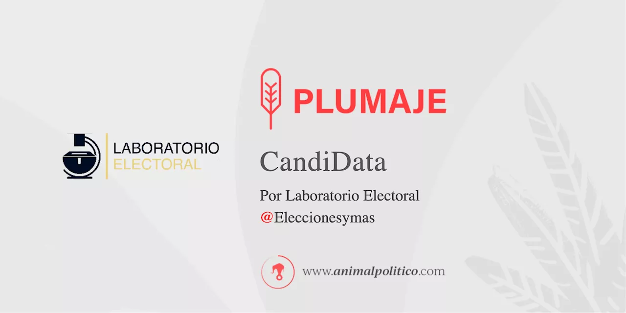 Acuerdo Nacional por la Integridad Electoral