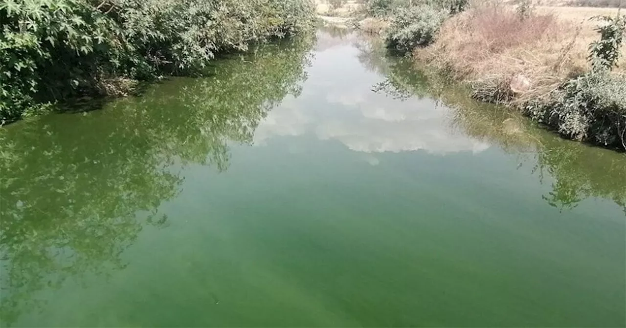 Esta es la nueva propuesta para rescatar y limpiar el Río Guanajuato en la capital