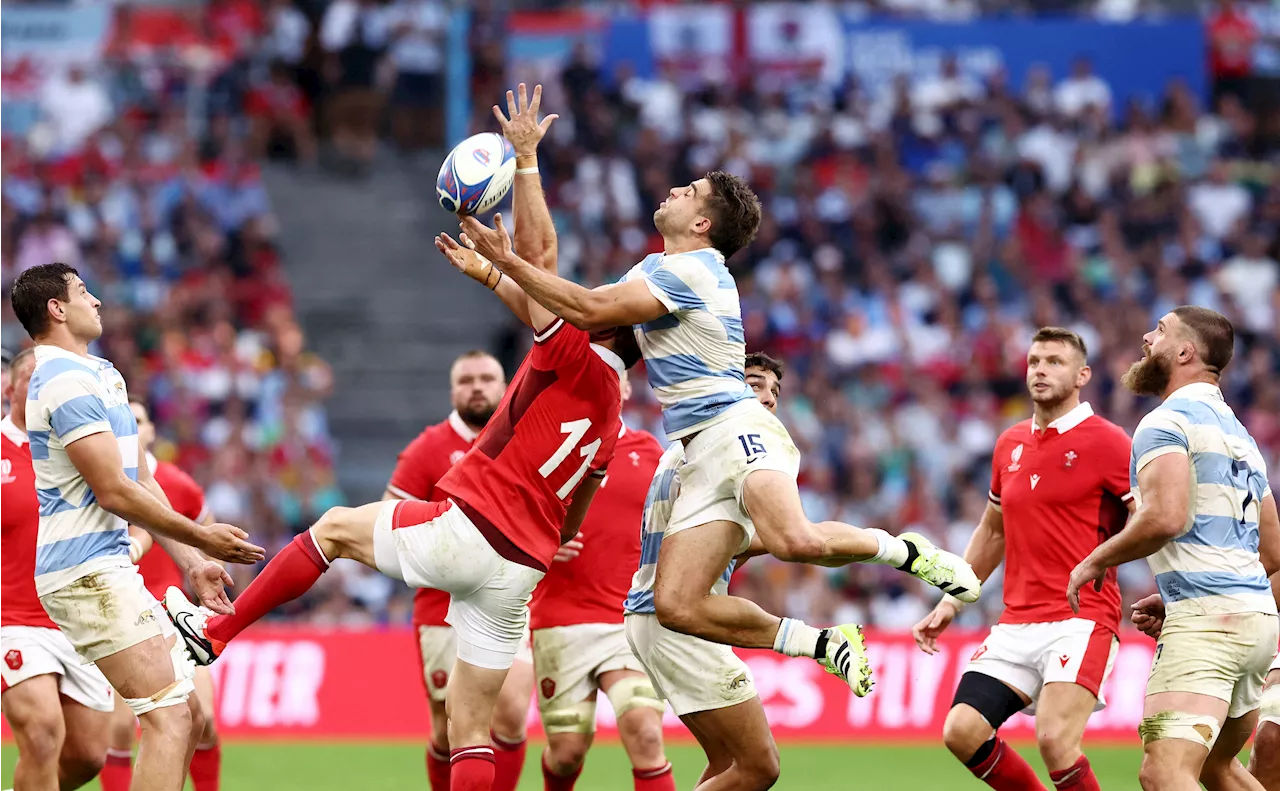 Rugby-Argentina end Wales’ World Cup hopes with 29-17 quarter-final win