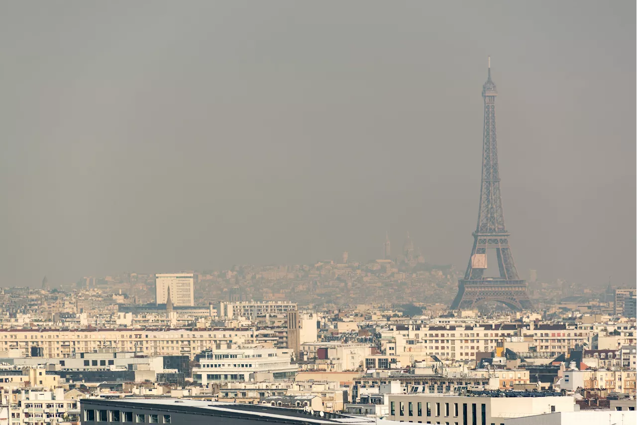 Pollution atmosphérique : découvrez quels sont les moyens d'améliorer la qualité de l'air