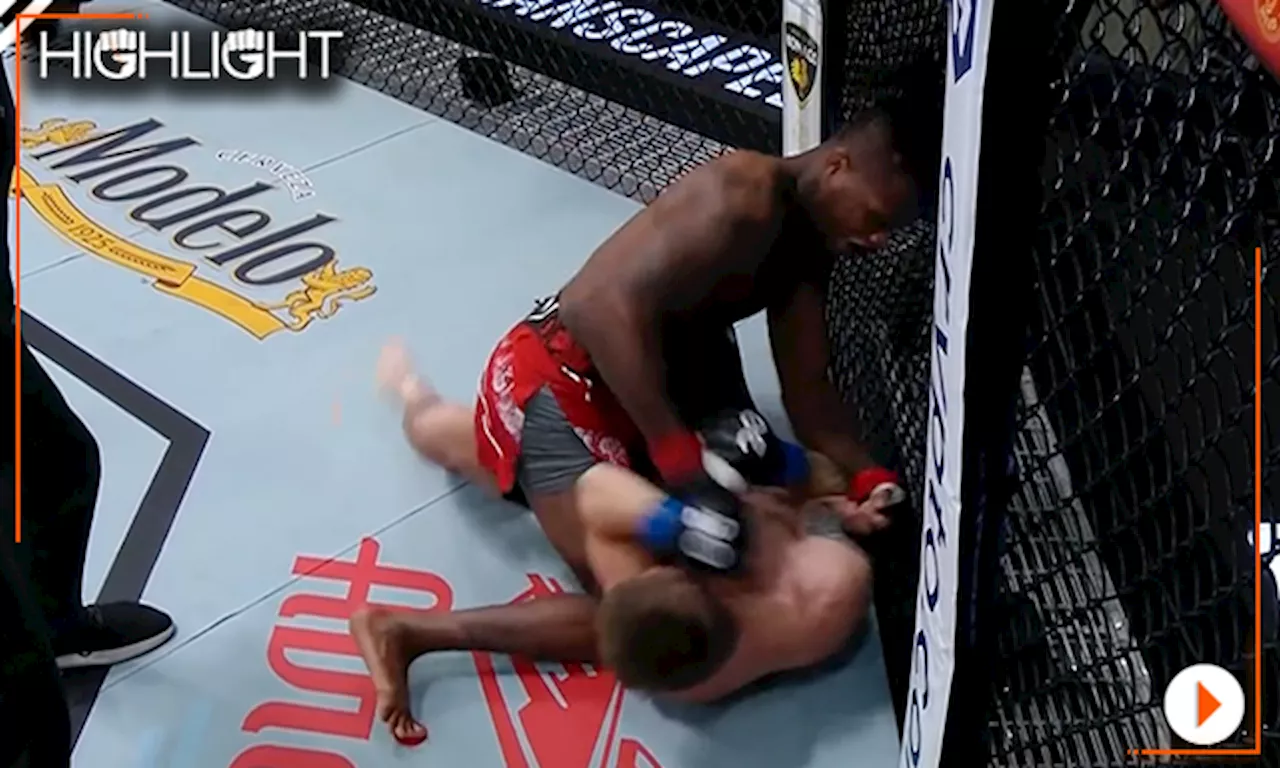 UFC Fight Night 230 Highlight Video: Terrance McKinney Wrecks Brendon Marotte in 20 Seconds