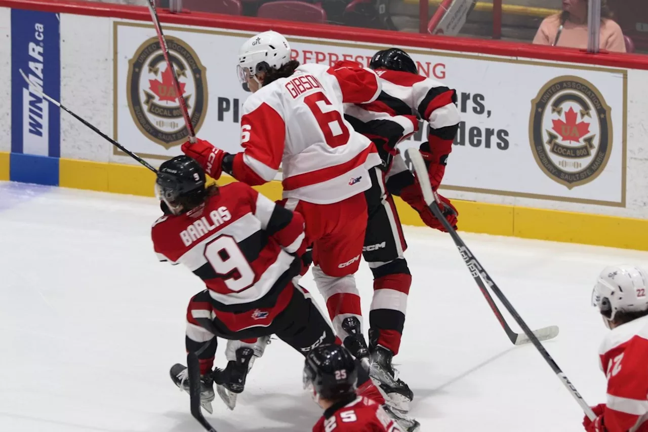 Greyhounds look to focus on positives in tight loss