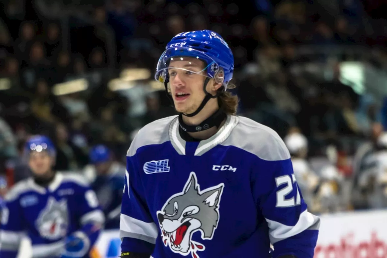 Wolves defeat Owen Sound in Musty and Toure return game