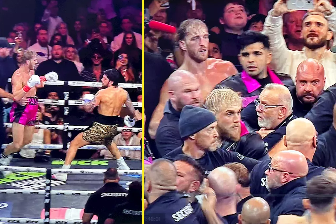 Logan Paul Vs Dillon Danis Ends In CHAOTIC BRAWL As Danis Tries To Make ...