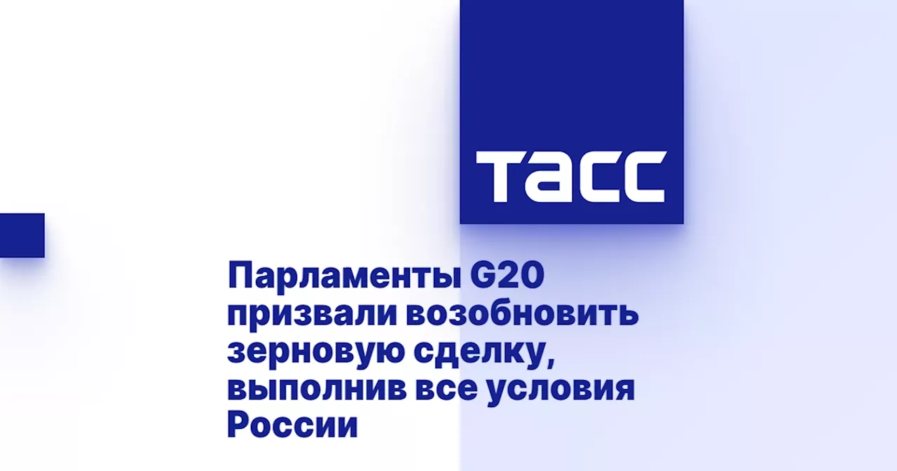 Парламенты G20 призвали возобновить зерновую сделку, выполнив все условия России