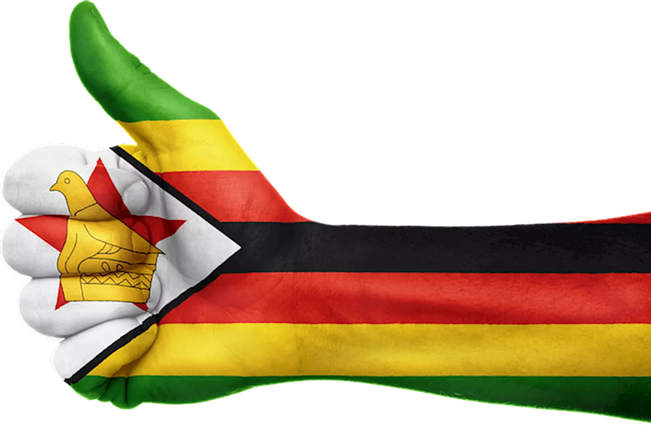 Zimbabwe to reintroduce local currency