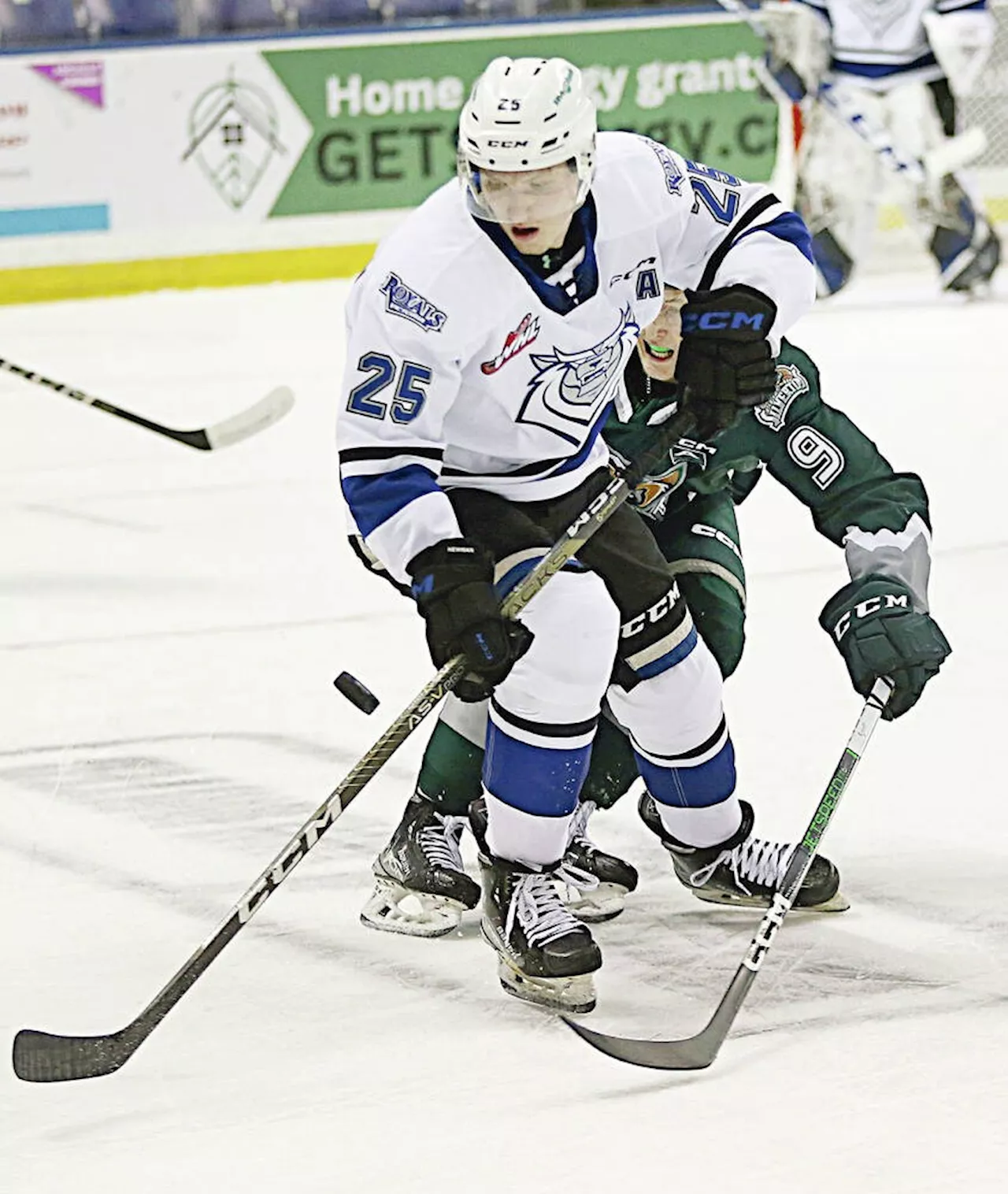 Silvertips cool off Victoria Royals