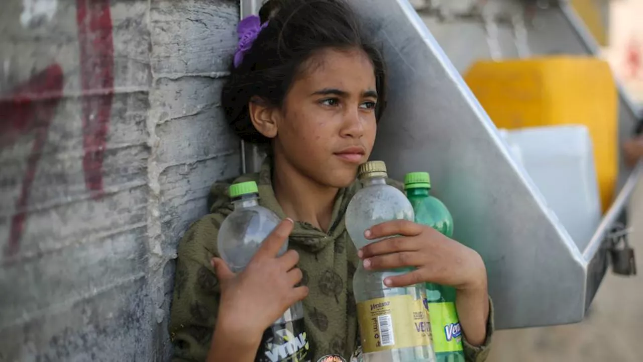 Live blog: Red Cross 'appalled' by misery in Gaza as food, water run out