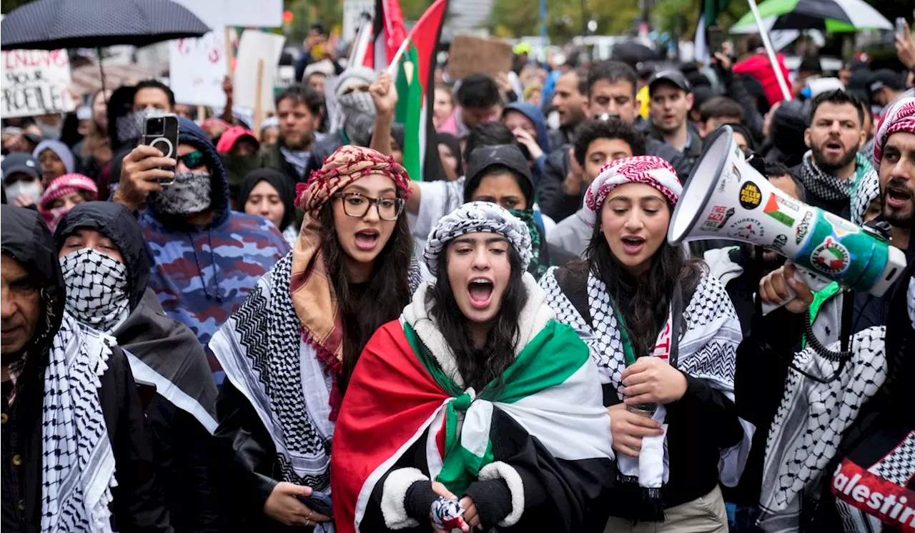 Pro-Palestine protesters decry U.S. 'hypocrisy' question veracity of gruesome photos