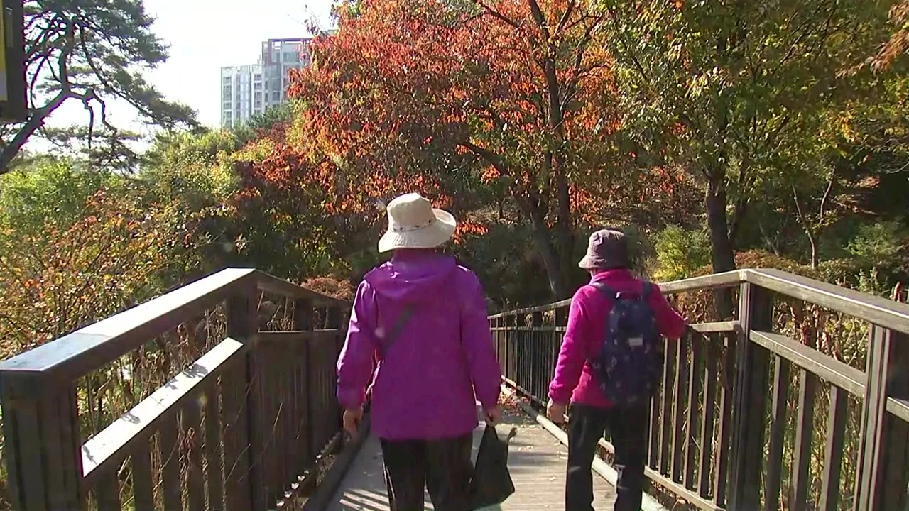 [날씨] 비 그친 뒤 점차 쌀쌀...첫 단풍 내륙 점차 확산