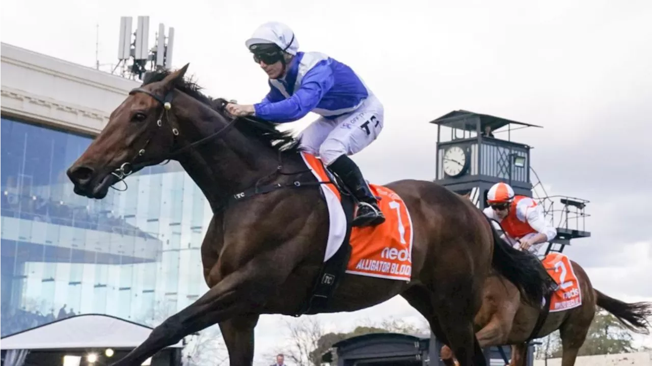 Horse racing wash-up: All the top performers from Randwick and Caulfield