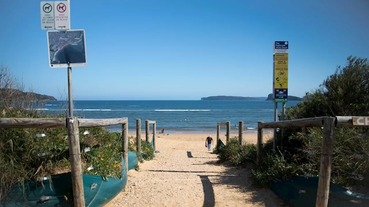 Man in custody after body found with stab wounds in vehicle at Umina Beach on NSW Central Coast