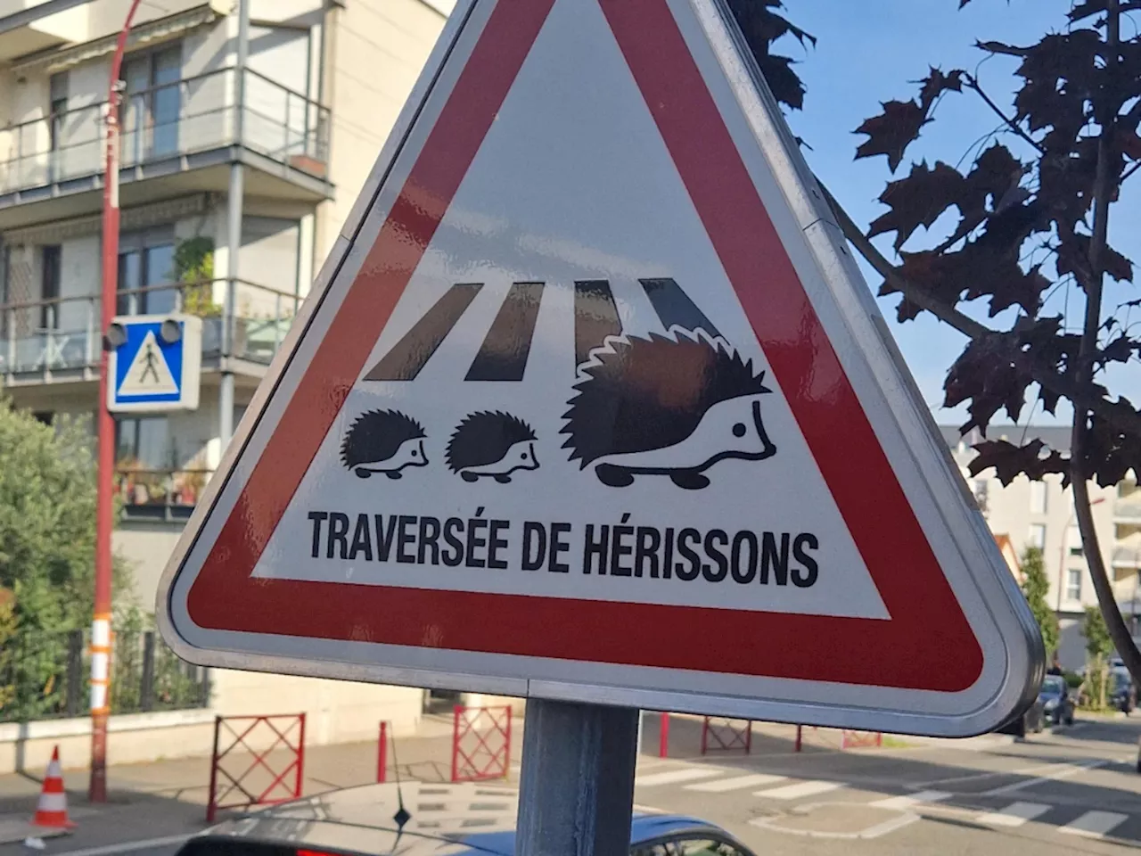 Dans cette ville du Val-de-Marne, les hérissons ont désormais leur panneau de signalisation