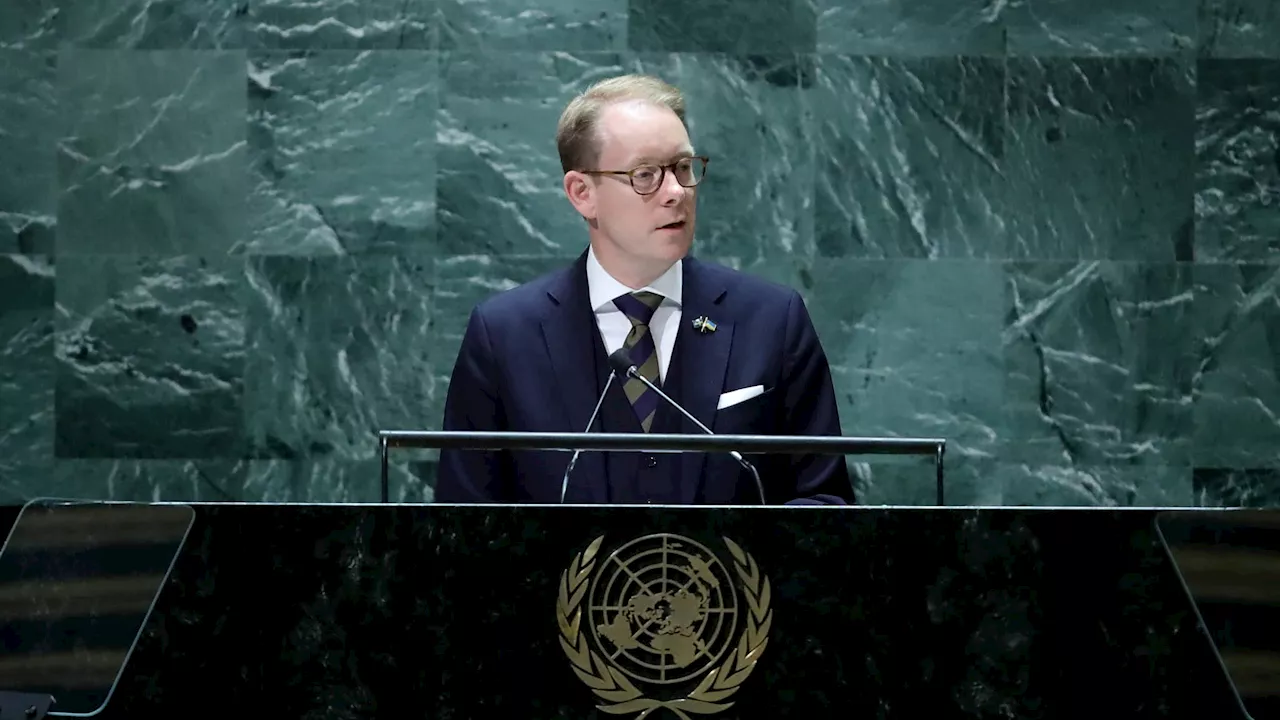 'Une farce': deux humoristes russes ont piégé le chef de la diplomatie suédoise