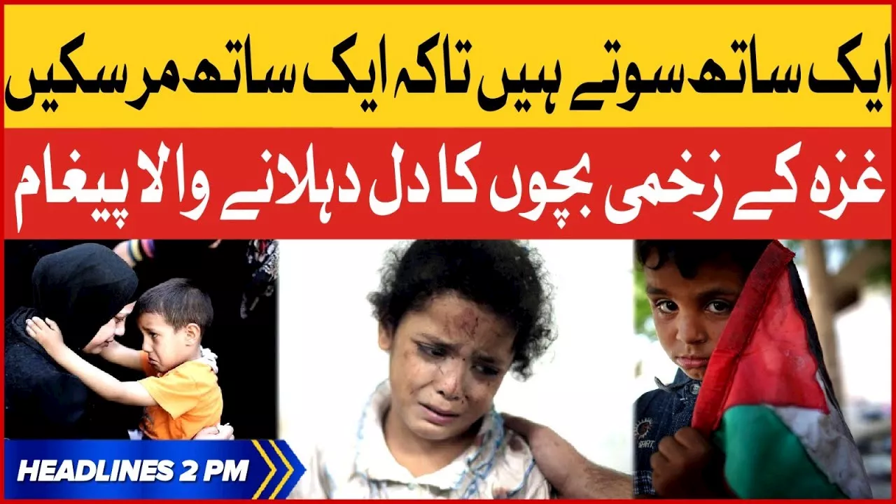 Women and Children Killed in Gaza | BOL News Headlines At 2 PM | Israeli Airstrike on Palestine