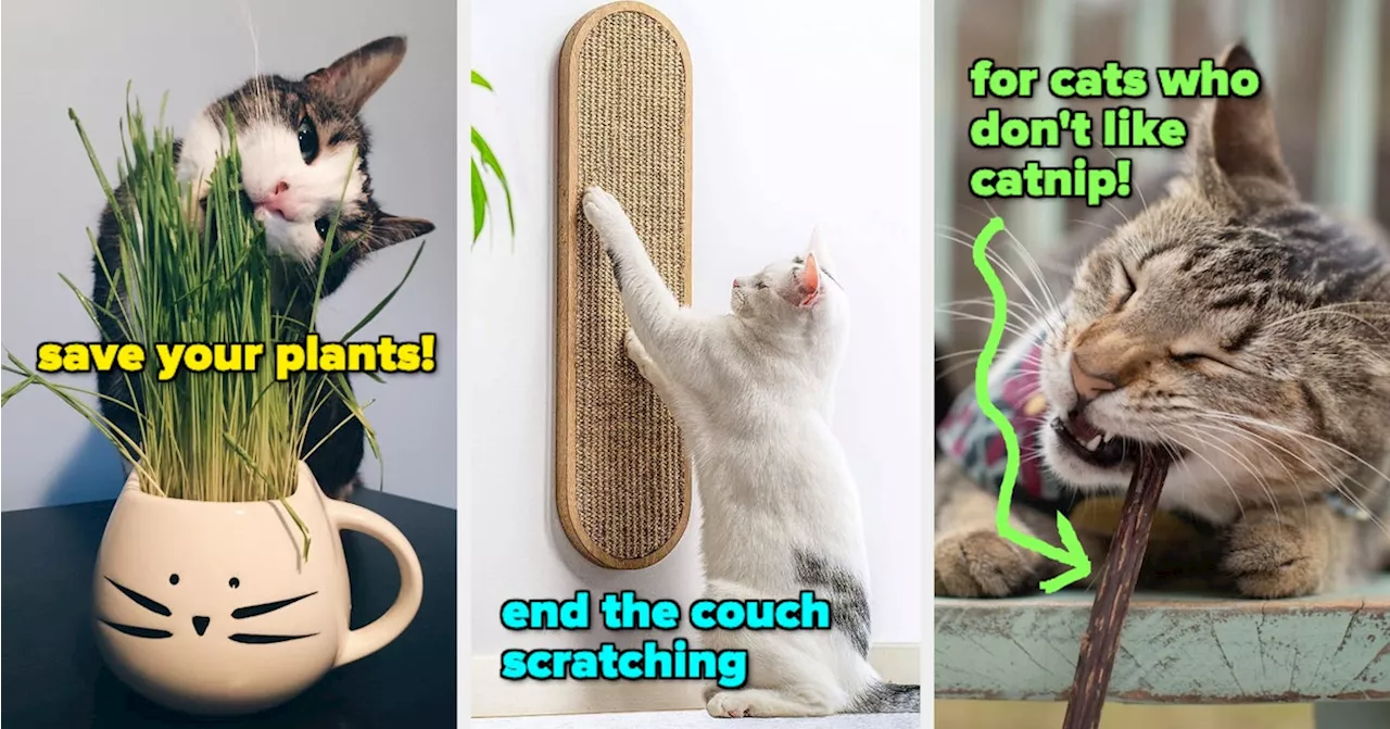 31 Problem-Solving Products For Annoying Cat Habits