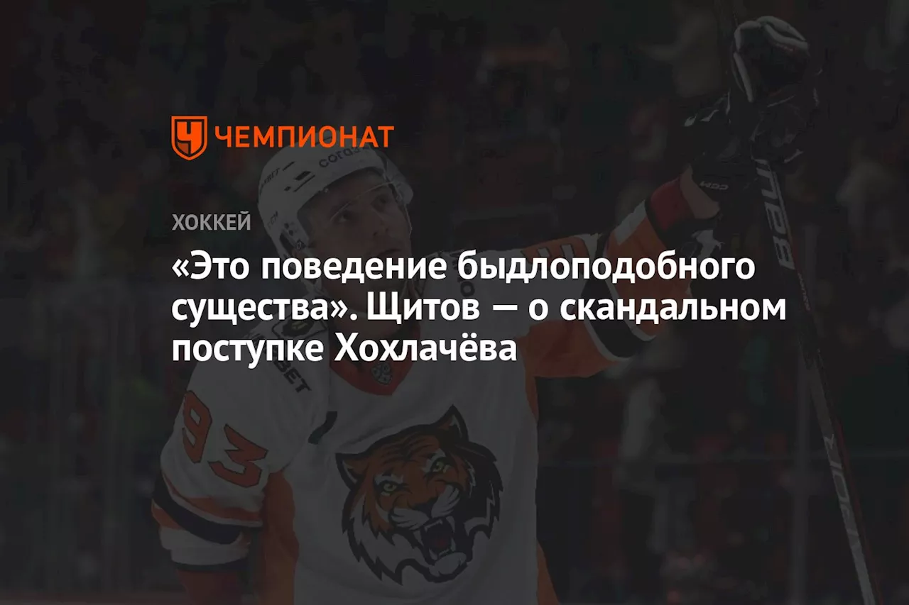 «Это поведение быдлоподобного существа». Щитов — о скандальном поступке Хохлачёва