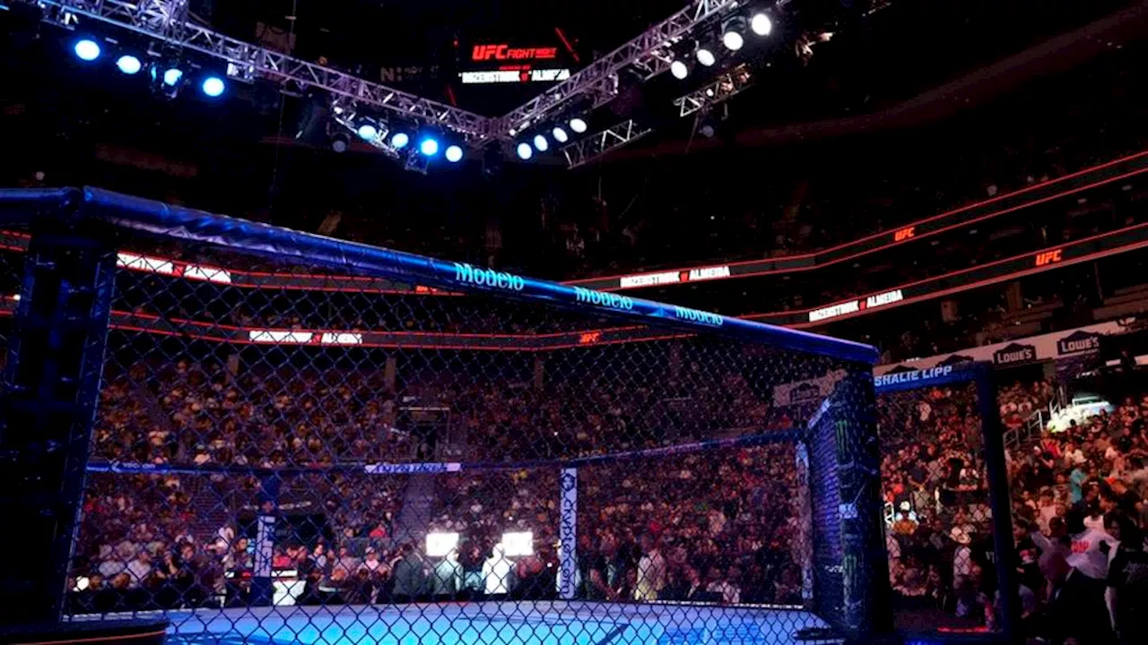 UFC : deux KO impressionnants lors de la Fight Night de Las Vegas (vidéo)