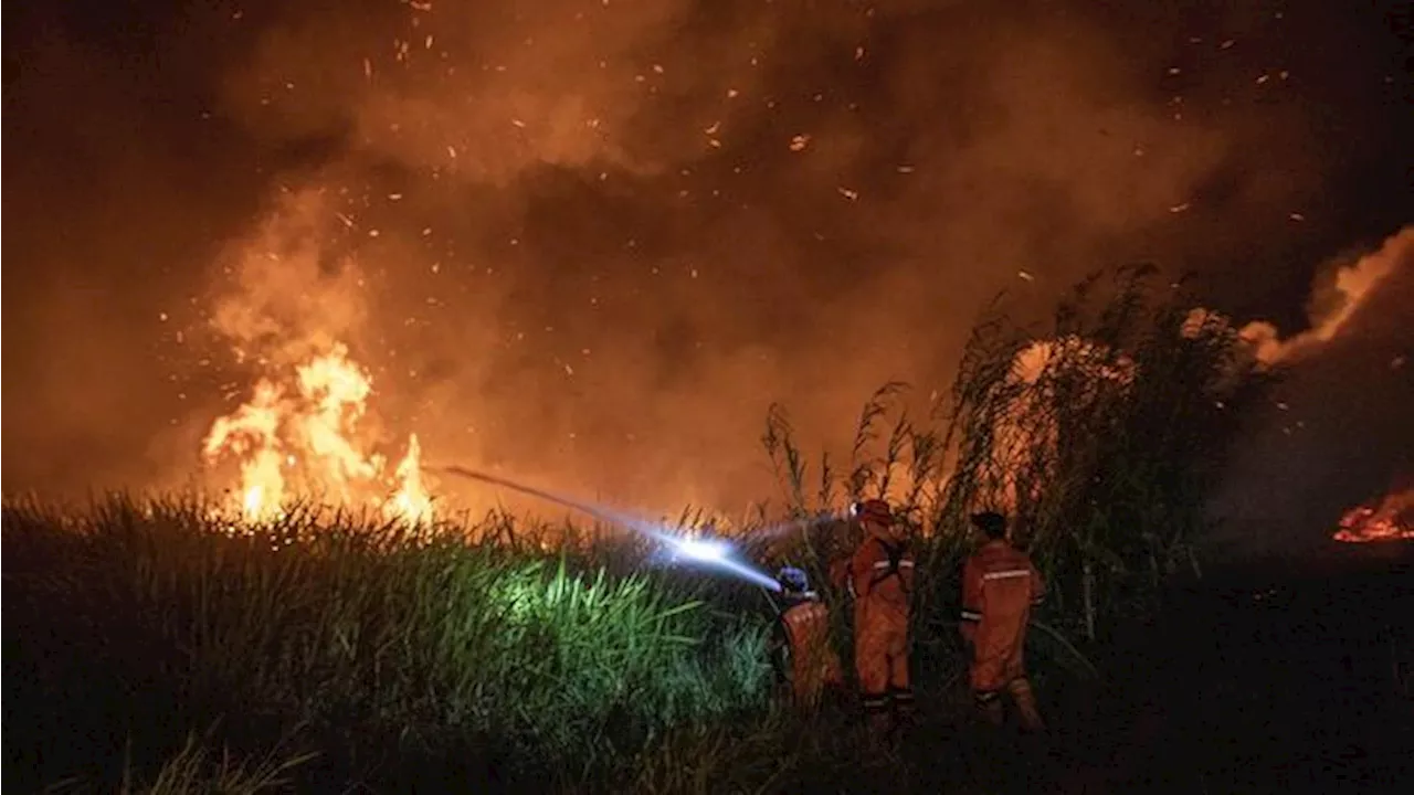 Polda Jambi Tetapkan 12 Orang Tersangka Karhutla