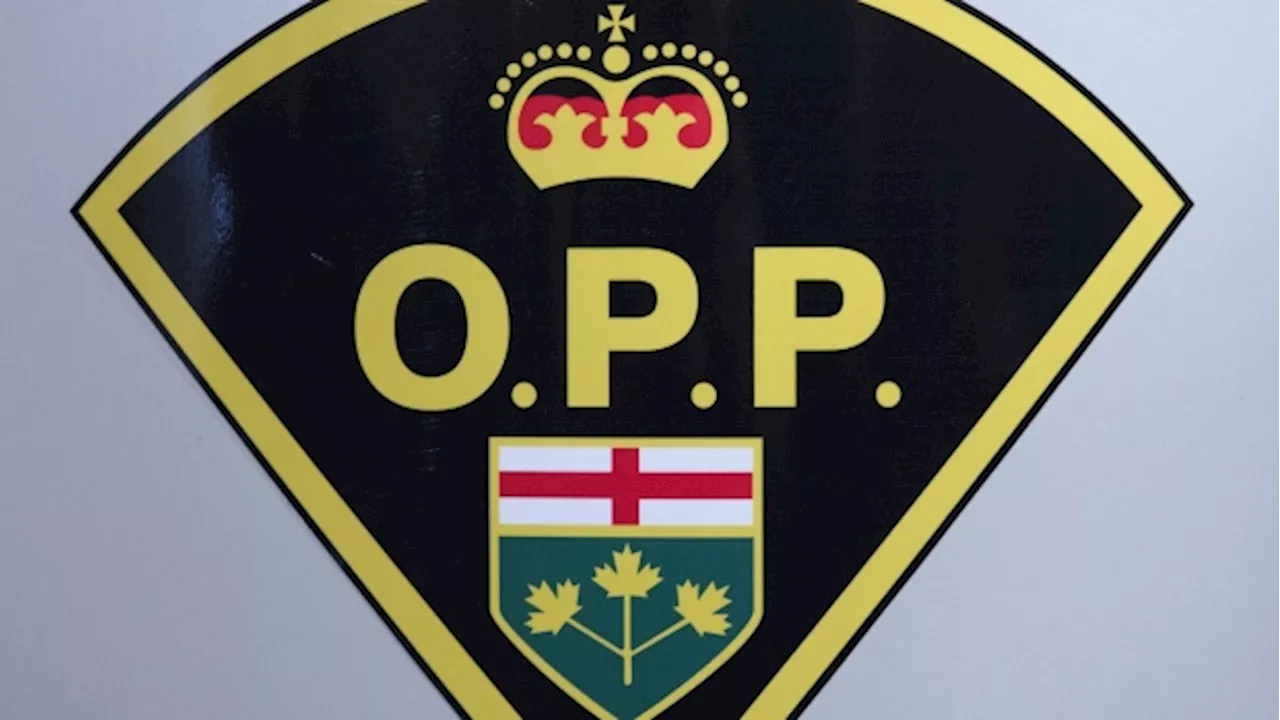 2 killed in crash on QEW in Mississauga