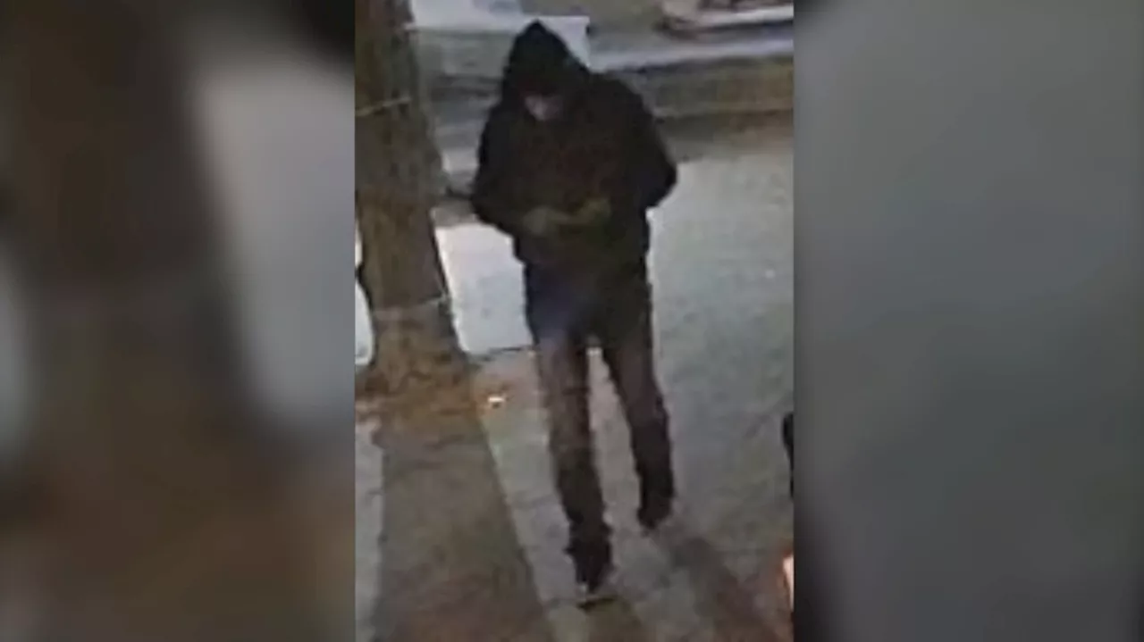 Suspect sought after sexual assault in Toronto's east end: police