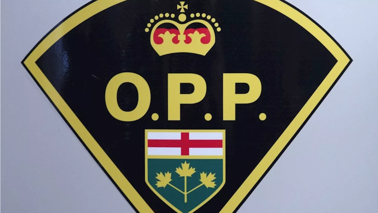 Two people killed in four-vehicle crash on QEW in Mississauga