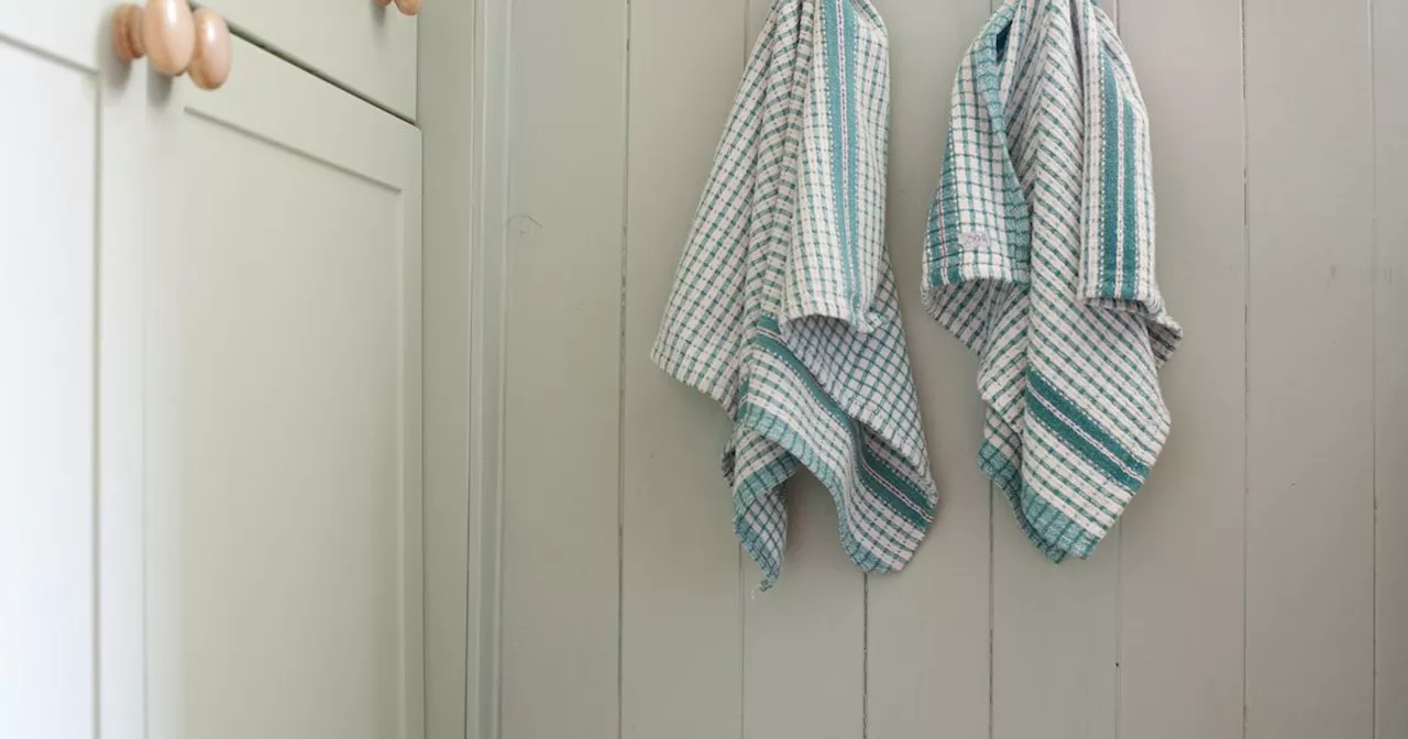 Cleaning expert issues warning on 'gross' tea towel error that can make you ill