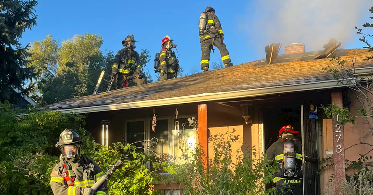 One person hospitalized, multiple animals rescued after Denver house fire