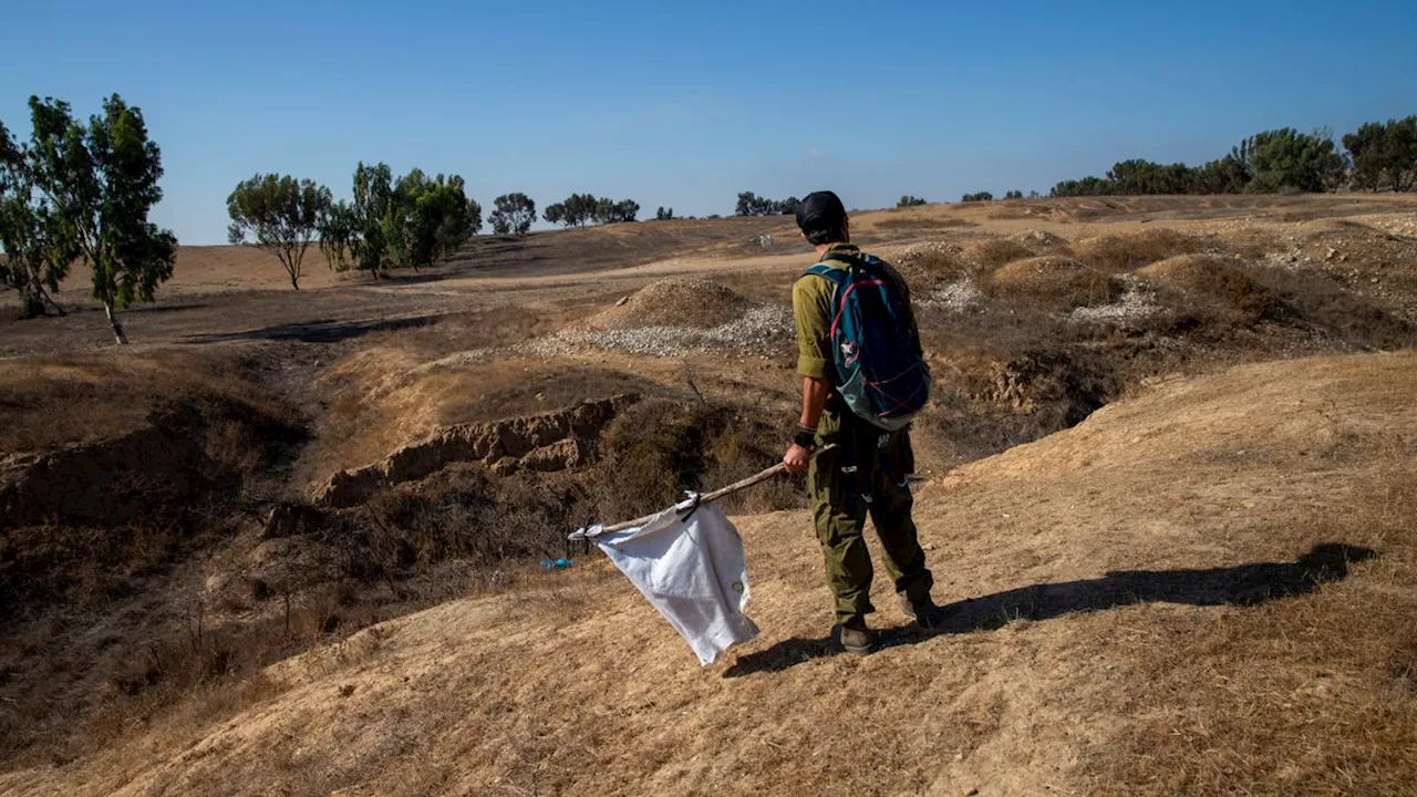 Hamas-Angriff auf Festival in Israel: Sie suchen nach Überlebenden