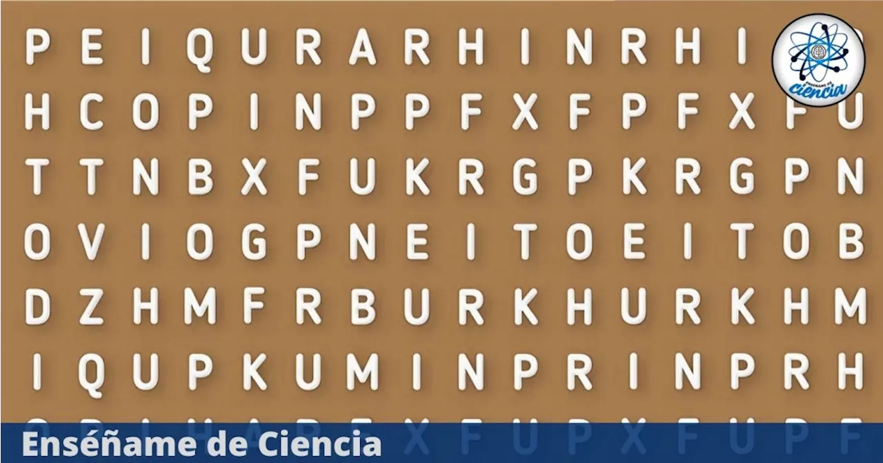 Acertijo visual de la palabra “CIENCIA”. Encuéntrala en la sopa de letras en 5 segundos