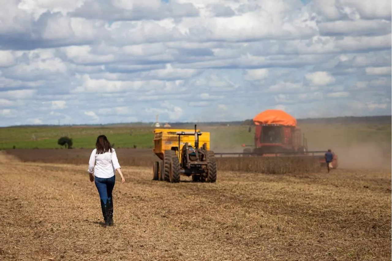 Dia Internacional da Mulher Rural: conheça a origem da data