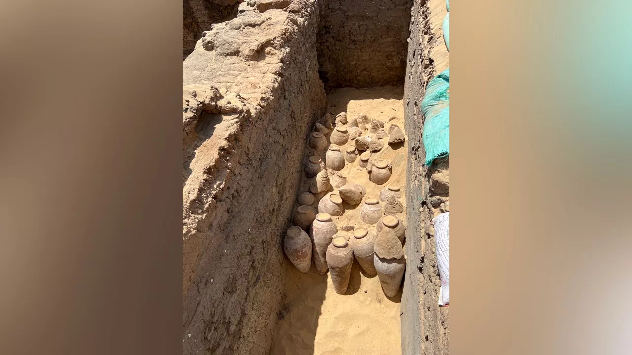 Egyptian queen tomb discovery yields sealed jars of wine from 5,000 years ago, plus ‘exciting information’