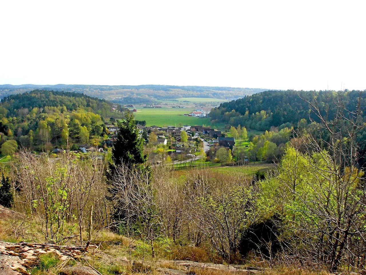 Fria ord: Rädda Lilla Fässbergsdalen från bygghetsen