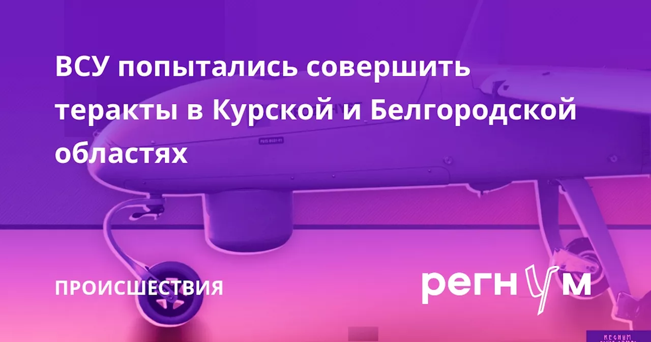 ВСУ попытались совершить теракты в Курской и Белгородской областях