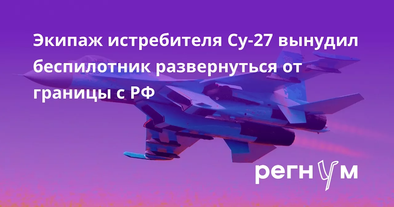 Экипаж истребителя Су-27 вынудил беспилотник развернуться от границы с РФ